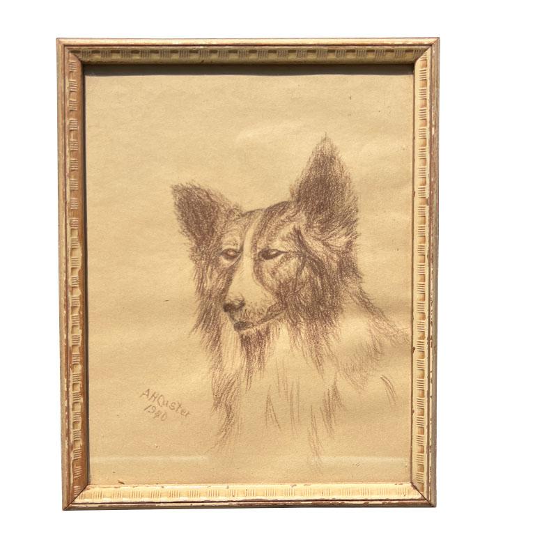 Bois Dessin au crayon d'un chien de collier sur papier et encadré dans un cadre en bois signé - 1940 en vente