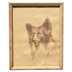 Pencil Drawing of a Collie Dog on Paper and Framed in Wood Frame Signed - 1940