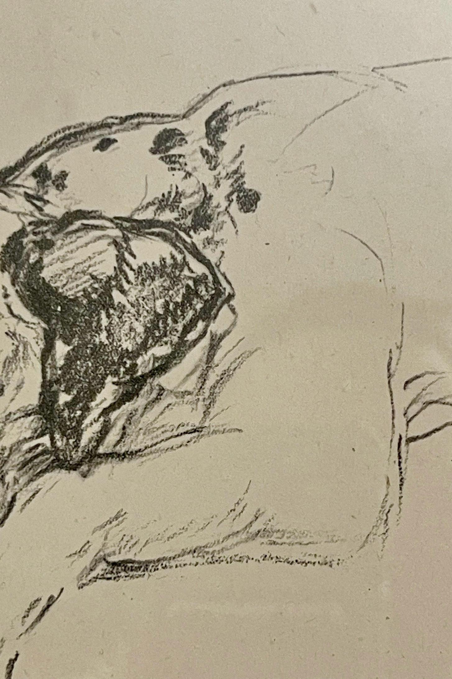 dessin au crayon sur papier, représentant des deux côtés des chiens Dalmatiens, États-Unis 1940. en vente 6