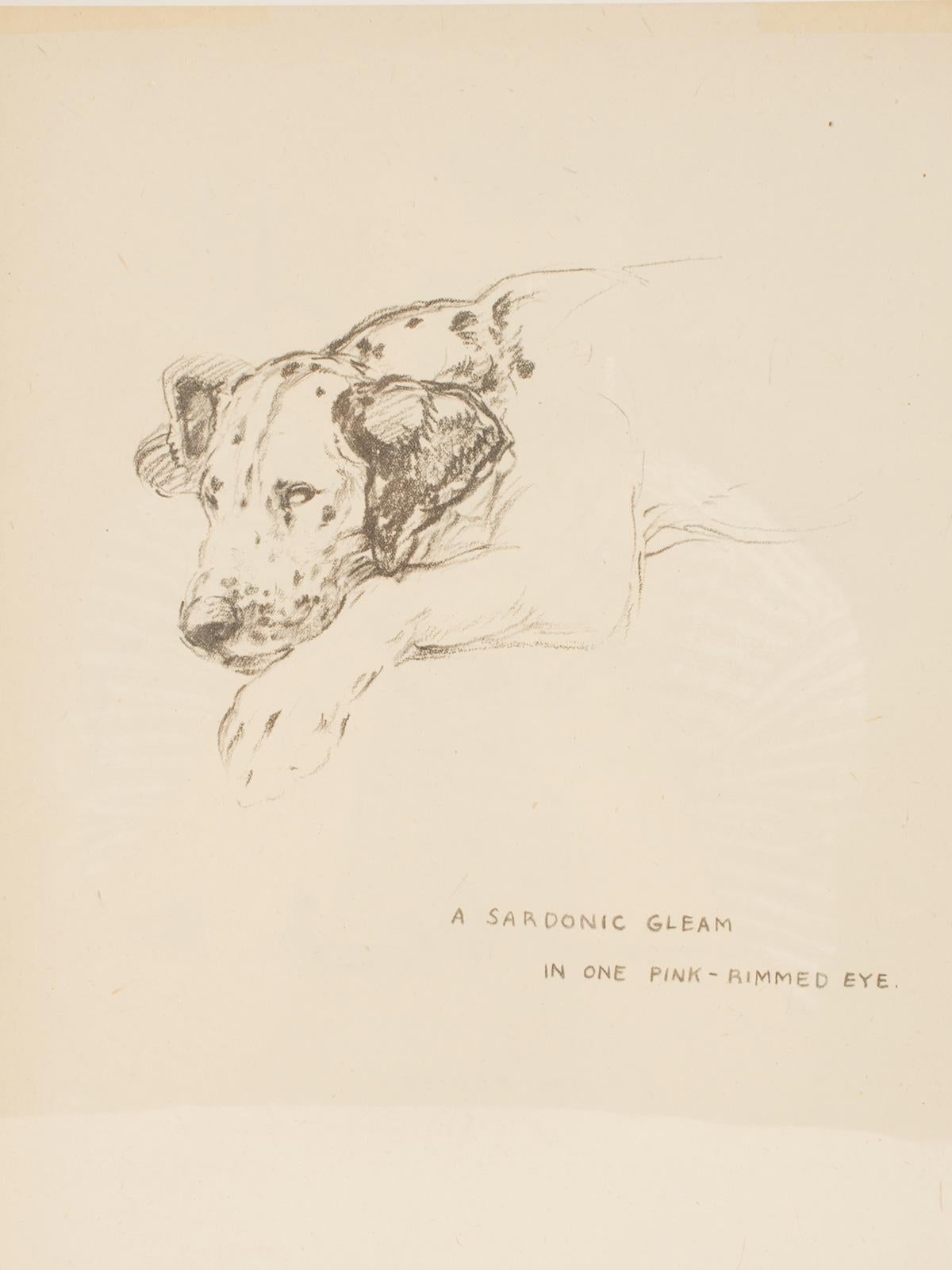 dessin au crayon sur papier, représentant des deux côtés des chiens Dalmatiens, États-Unis 1940. Bon état - En vente à Milan, IT