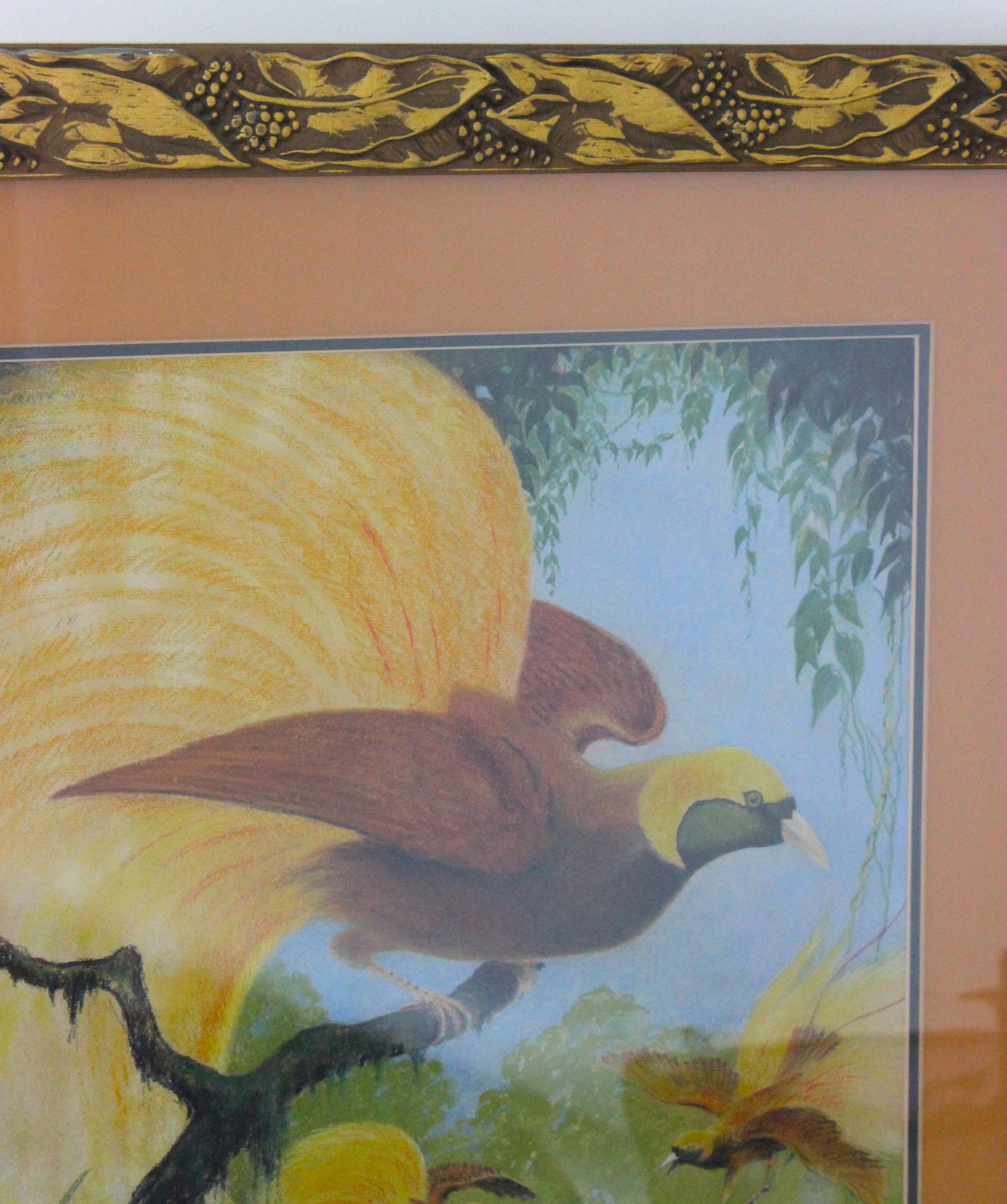 Pencil Pastel Rendering of Lesser Bird-of-Paradise by Allen L. Person In Good Condition For Sale In West Palm Beach, FL