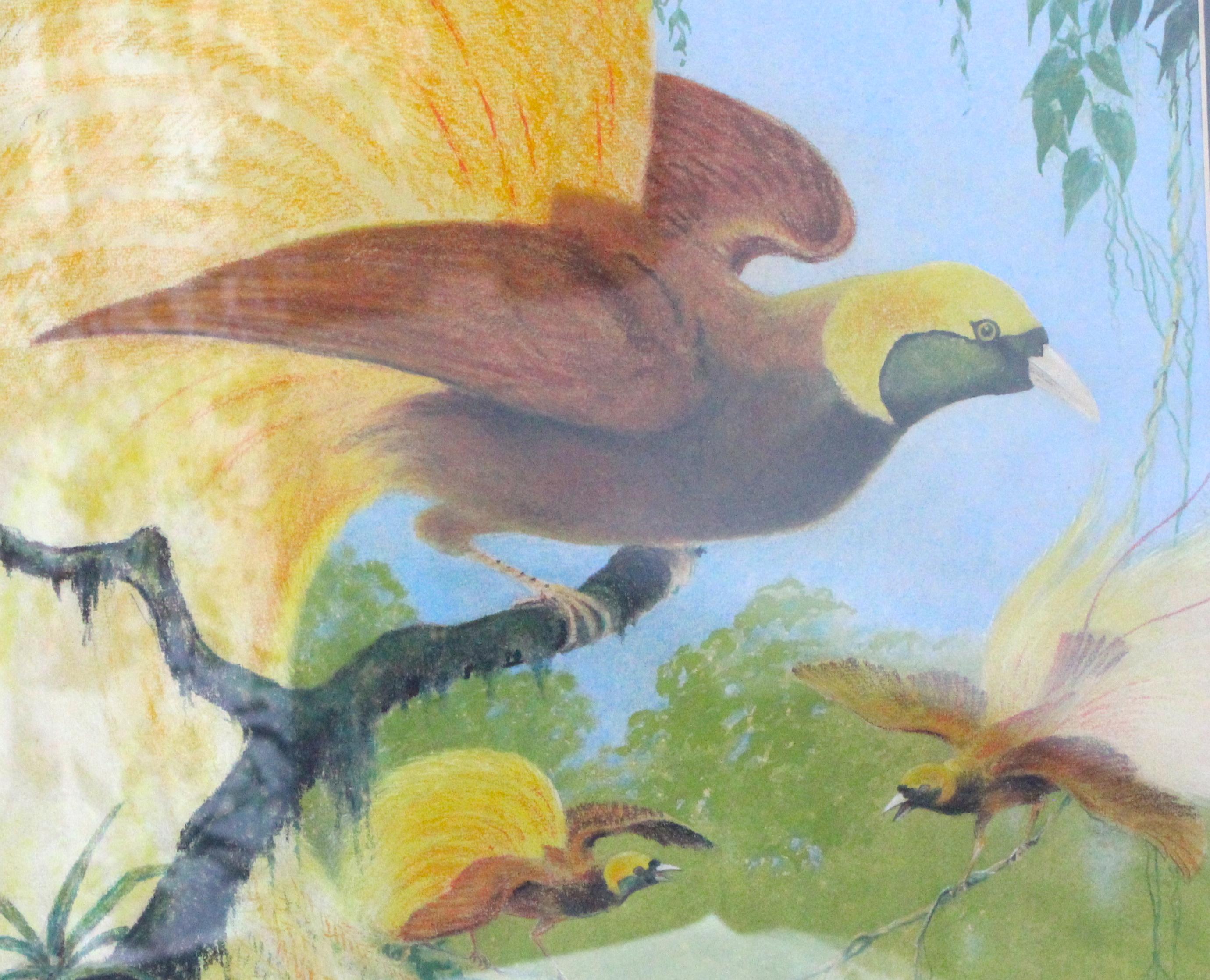 Feuille d'or Rendu au pastel au crayon d'un oiseau de Paradis plus petit par Allen L. Person en vente