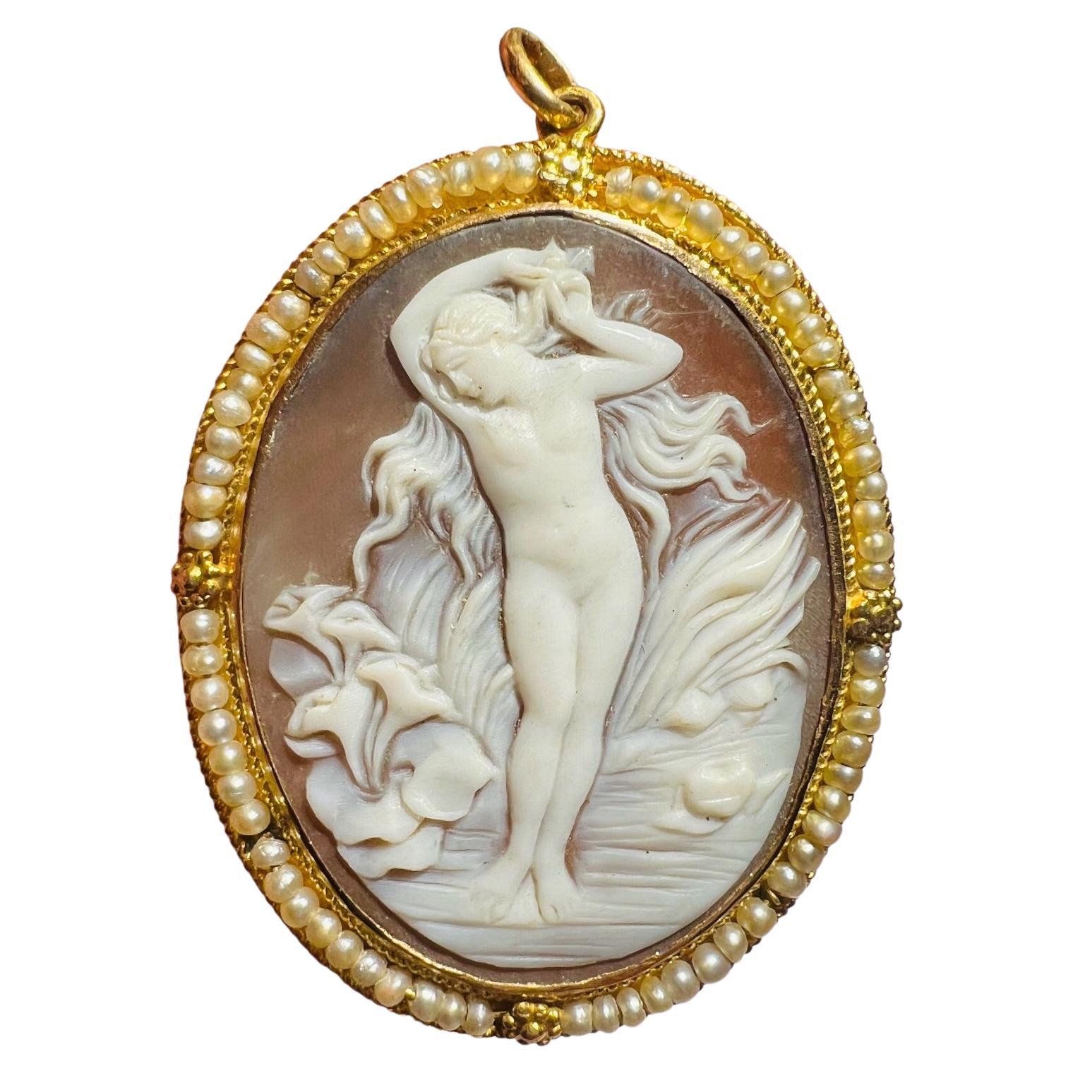 Pendant Cameo Shell Entourage 18 Carat Gold And Fine Pearls