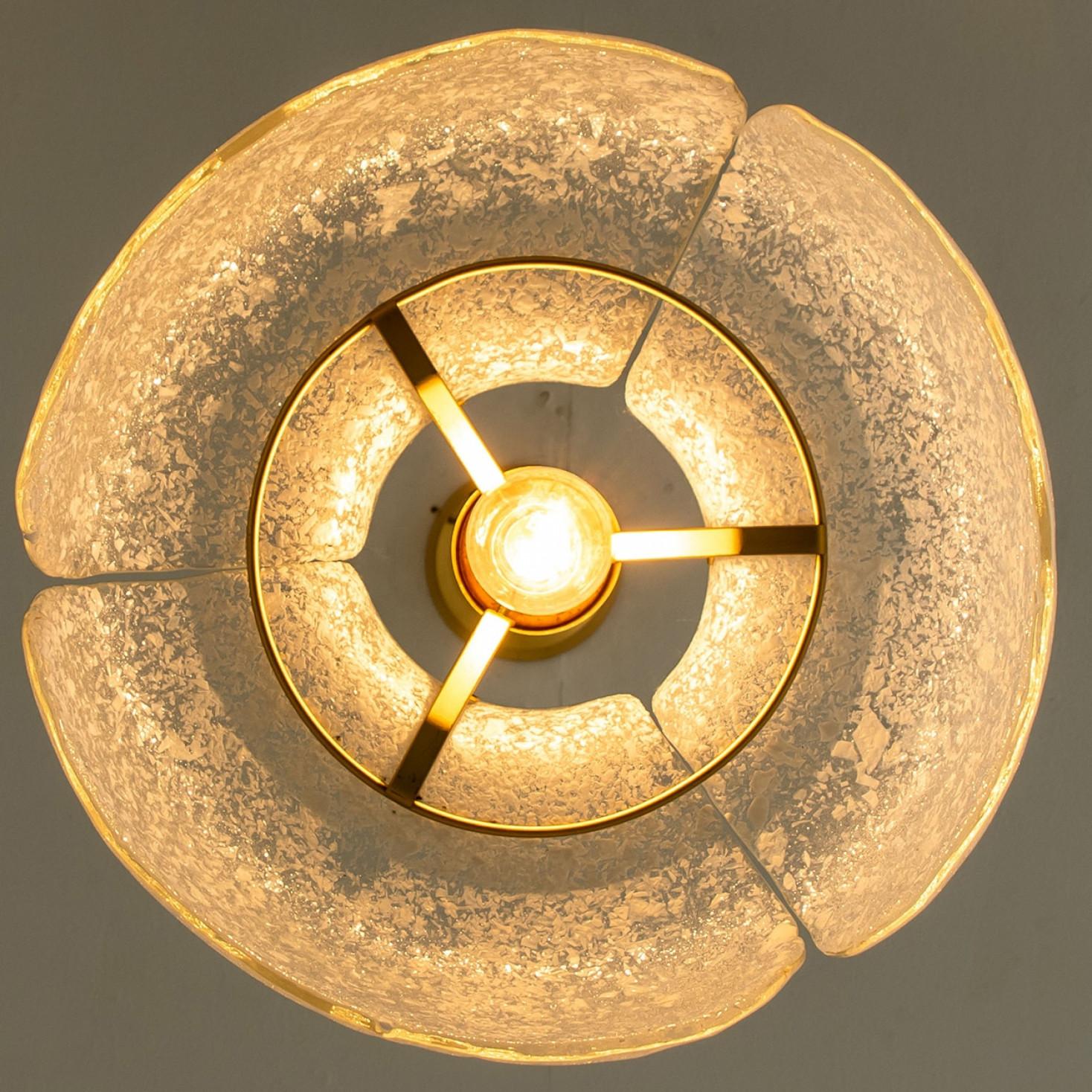 Pendant Flower Lamp by Hillebrand, Europe, Germany For Sale 3