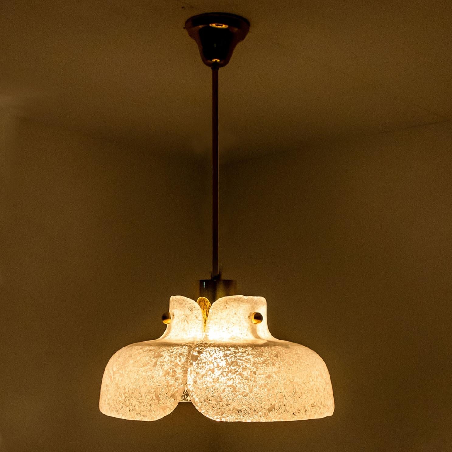 Pendant Flower Lamp by Hillebrand, Europe, Germany For Sale 4