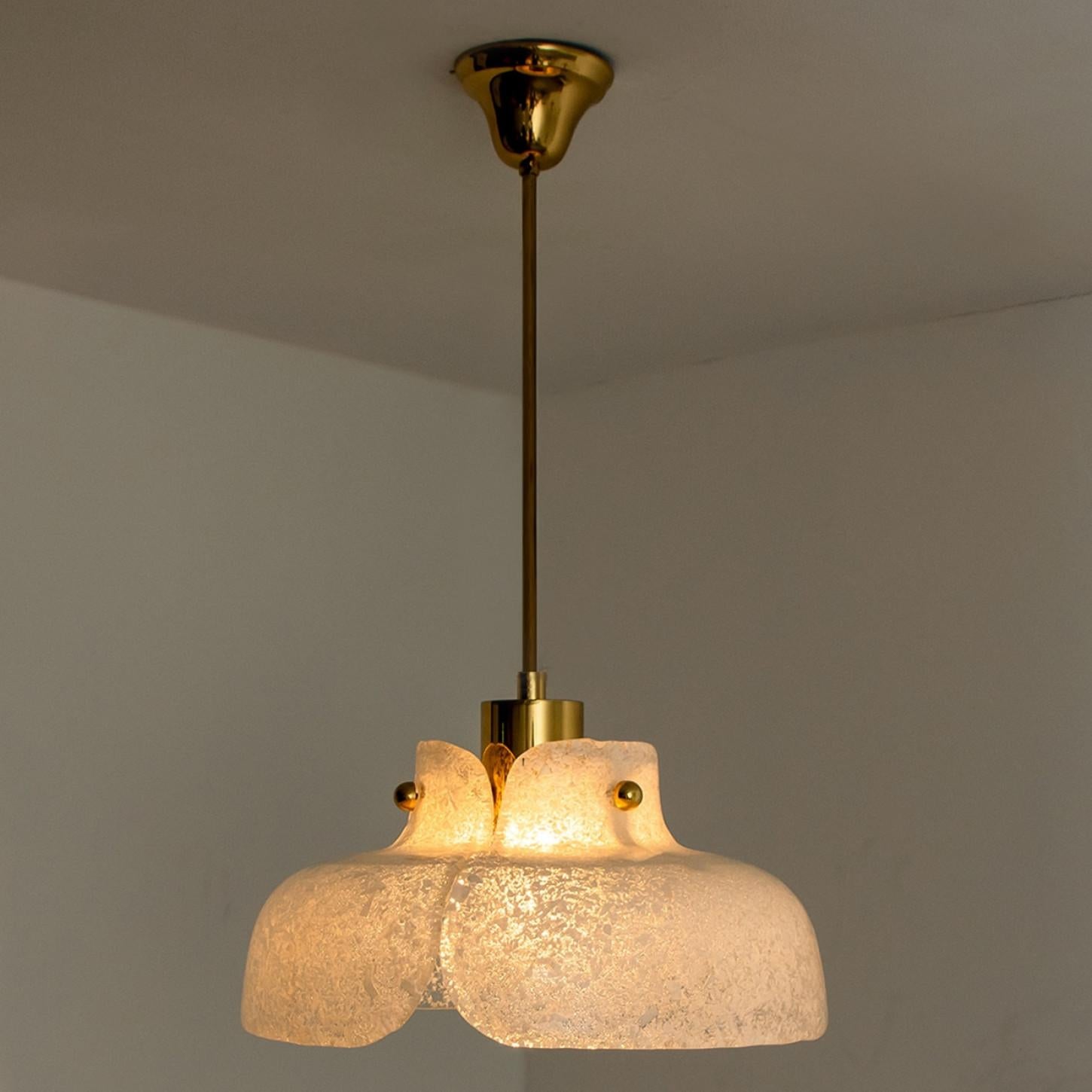 Pendant Flower Lamp by Hillebrand, Europe, Germany For Sale 2