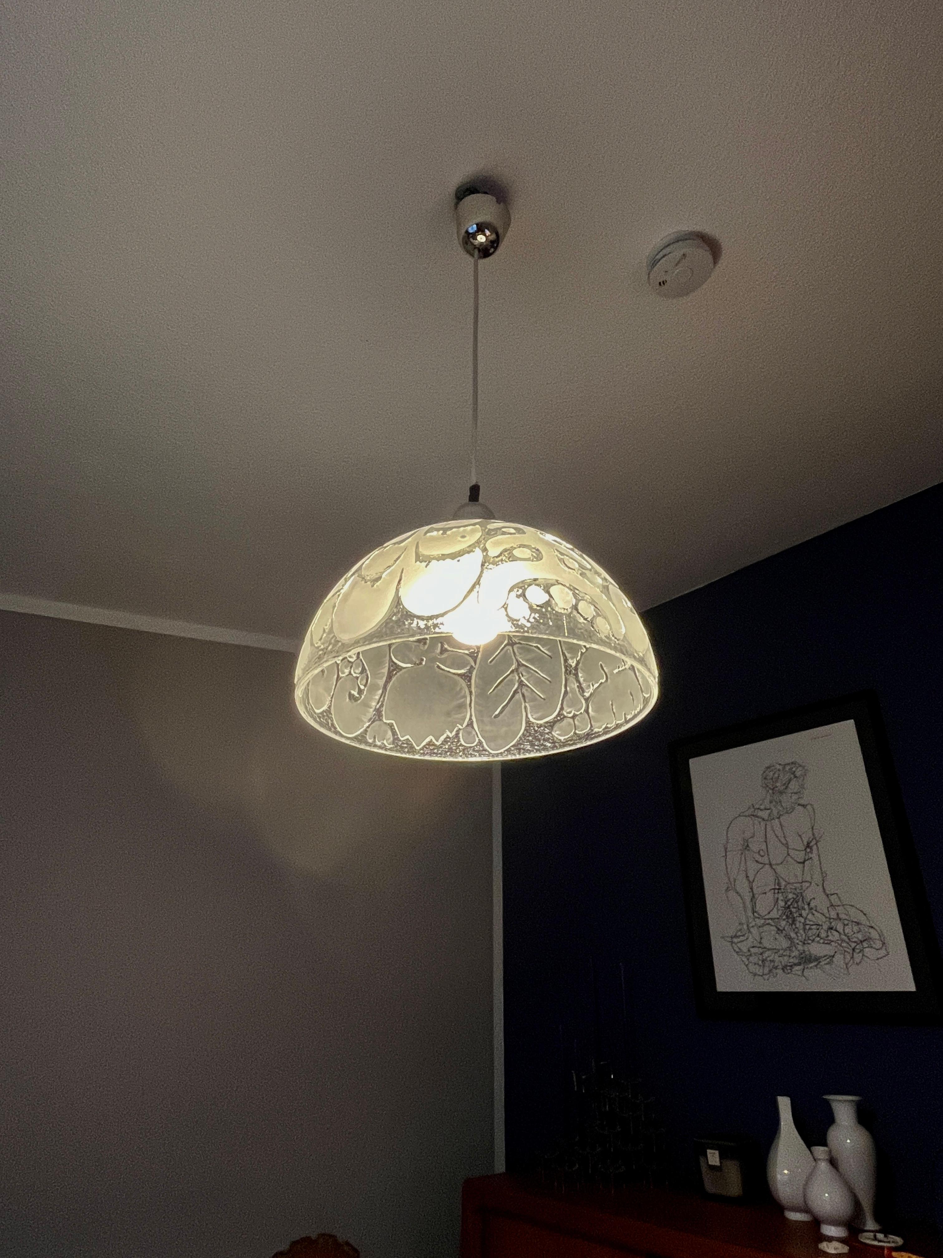 Mid-Century moderno Lampada a sospensione di Peill & Putzer in vendita
