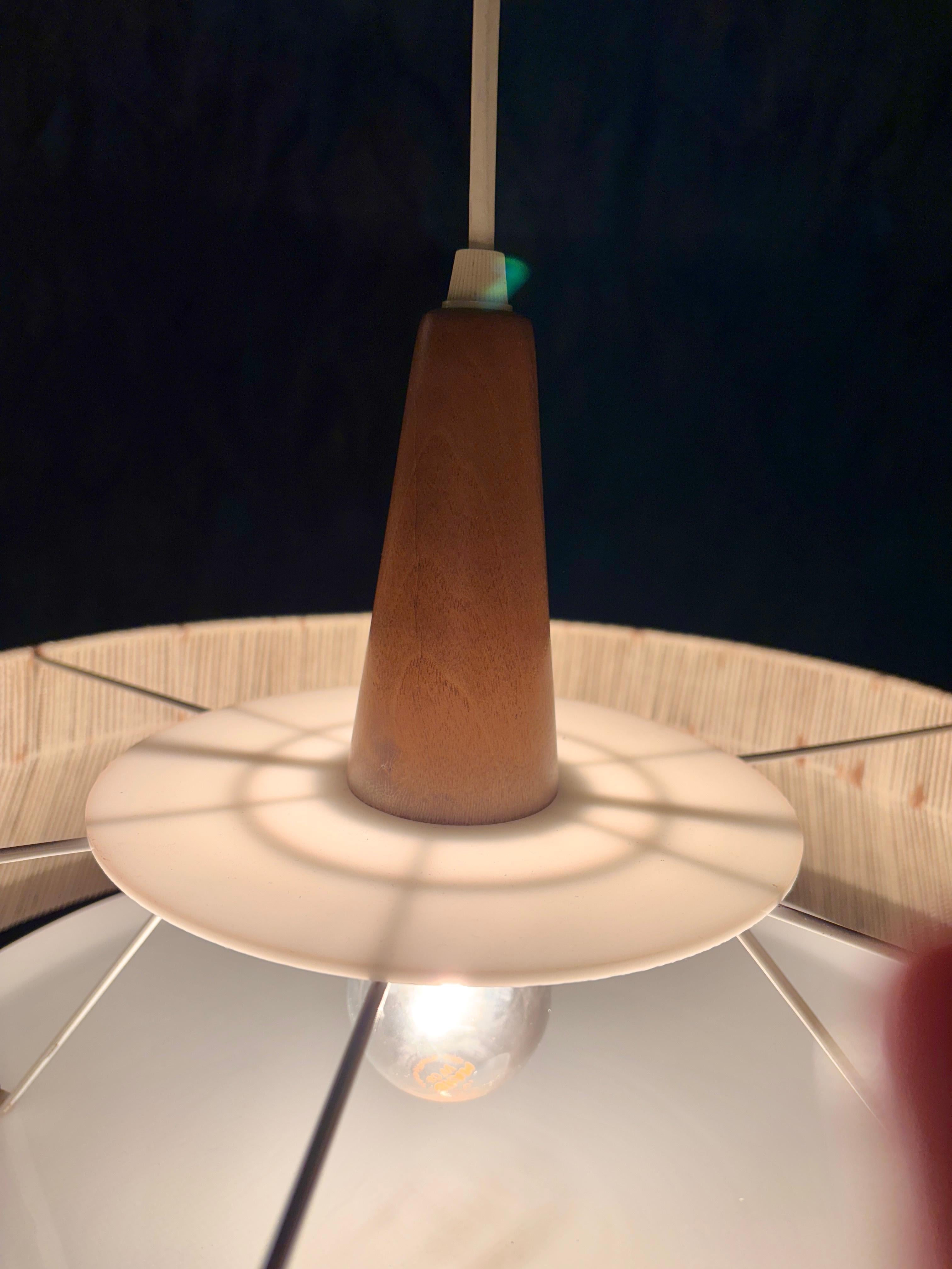 Hängeleuchte aus Sisal und Nussbaumholz von Temde 1960s im Angebot 4