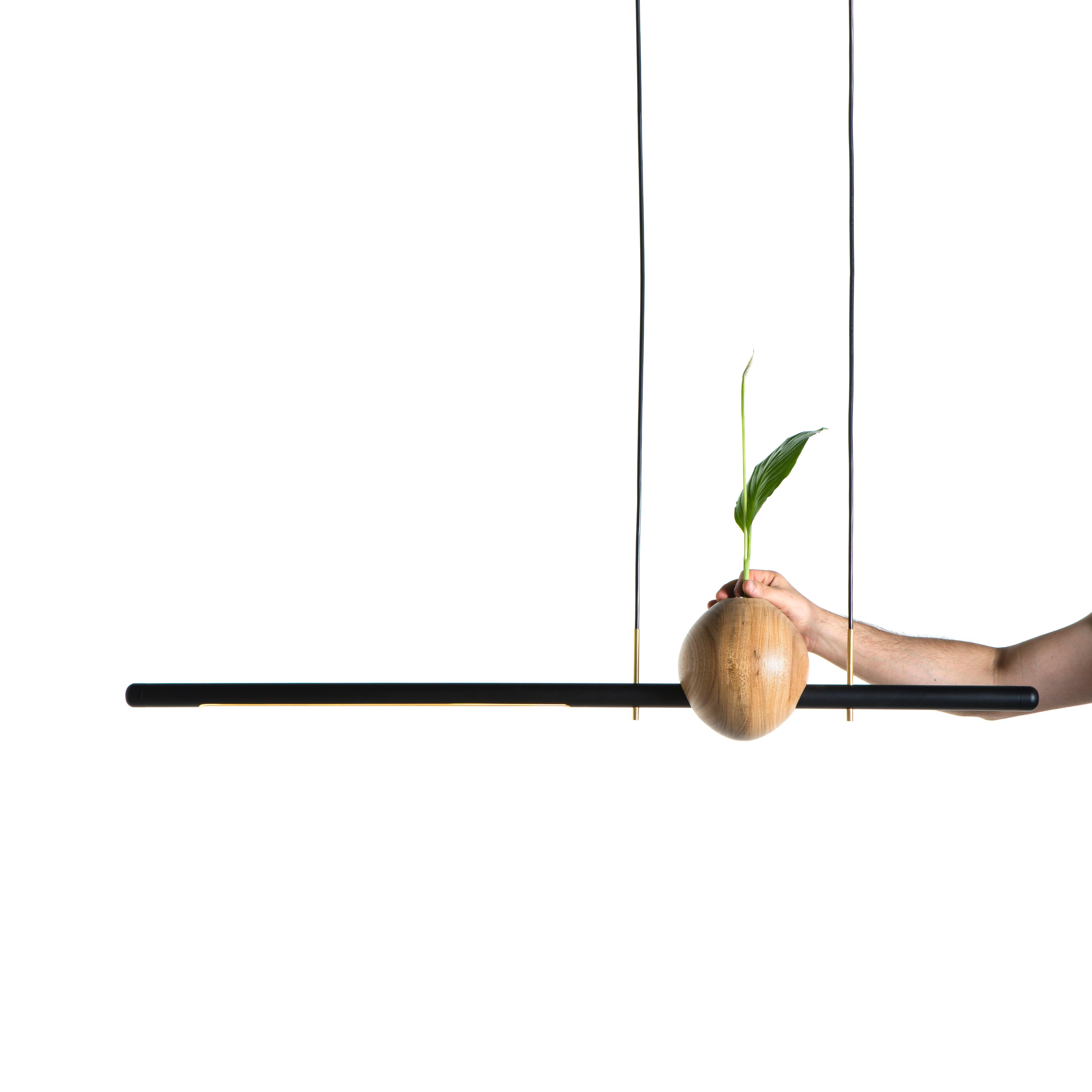 The pendant lamp Ninho is handcrafted in solid Brazilian hardwood Freijó
The piece represents the Brazilian contemporary design.
- LED 10w
- 3.000 K - color temperature.
- Inside the turned piece in wood there is a glass cylinder, allowing to