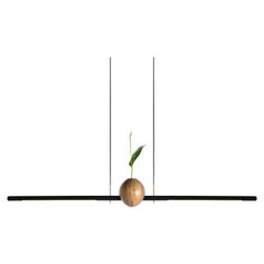 Pendant Lamp Ninho 02 on Tropical Brazilian Hardwood