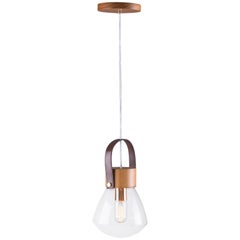 Pendant Lampadari Small Cupola, Brazilian Wood, Metal, Leather and Glass