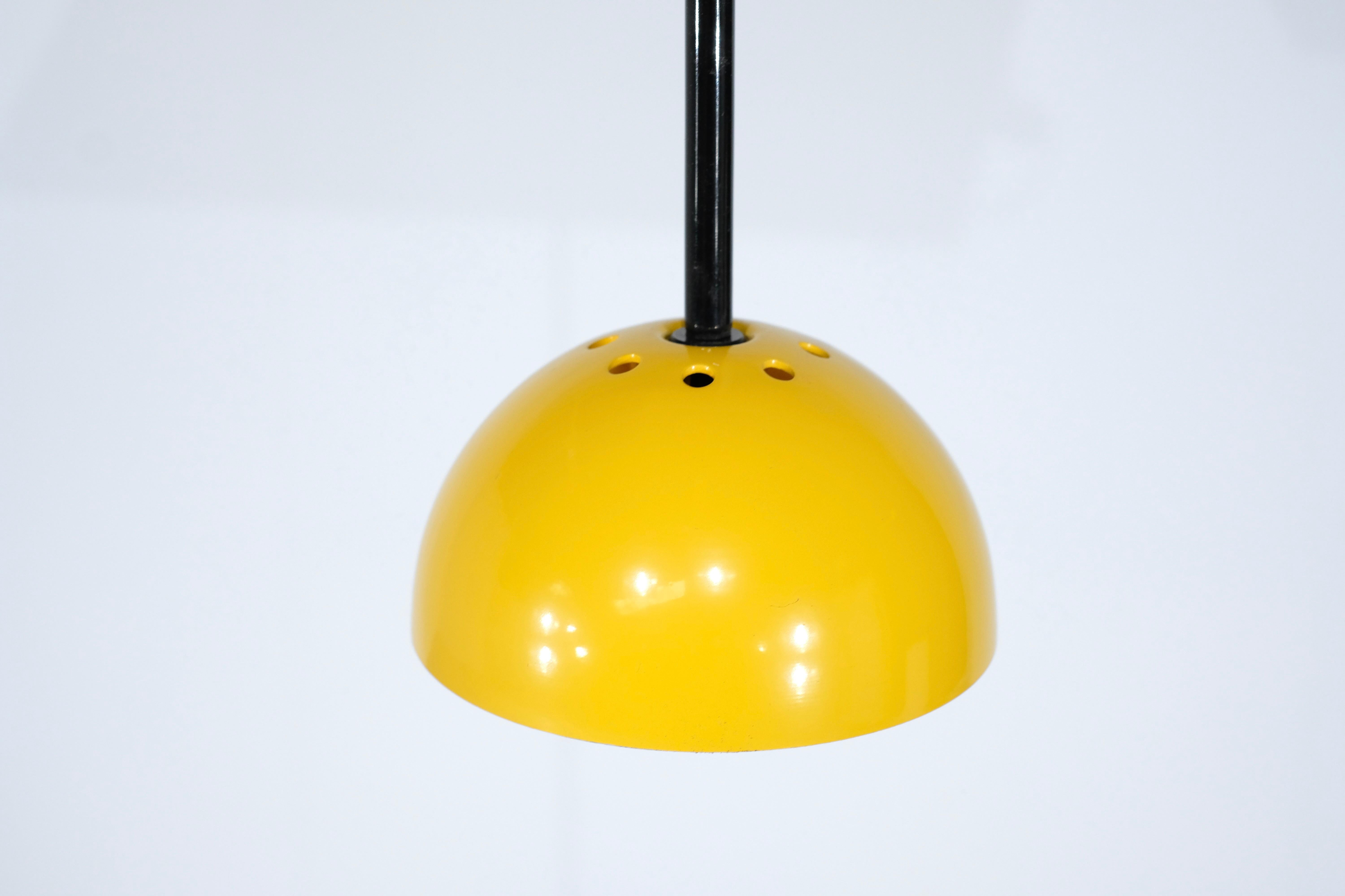 Amazing pendant light 