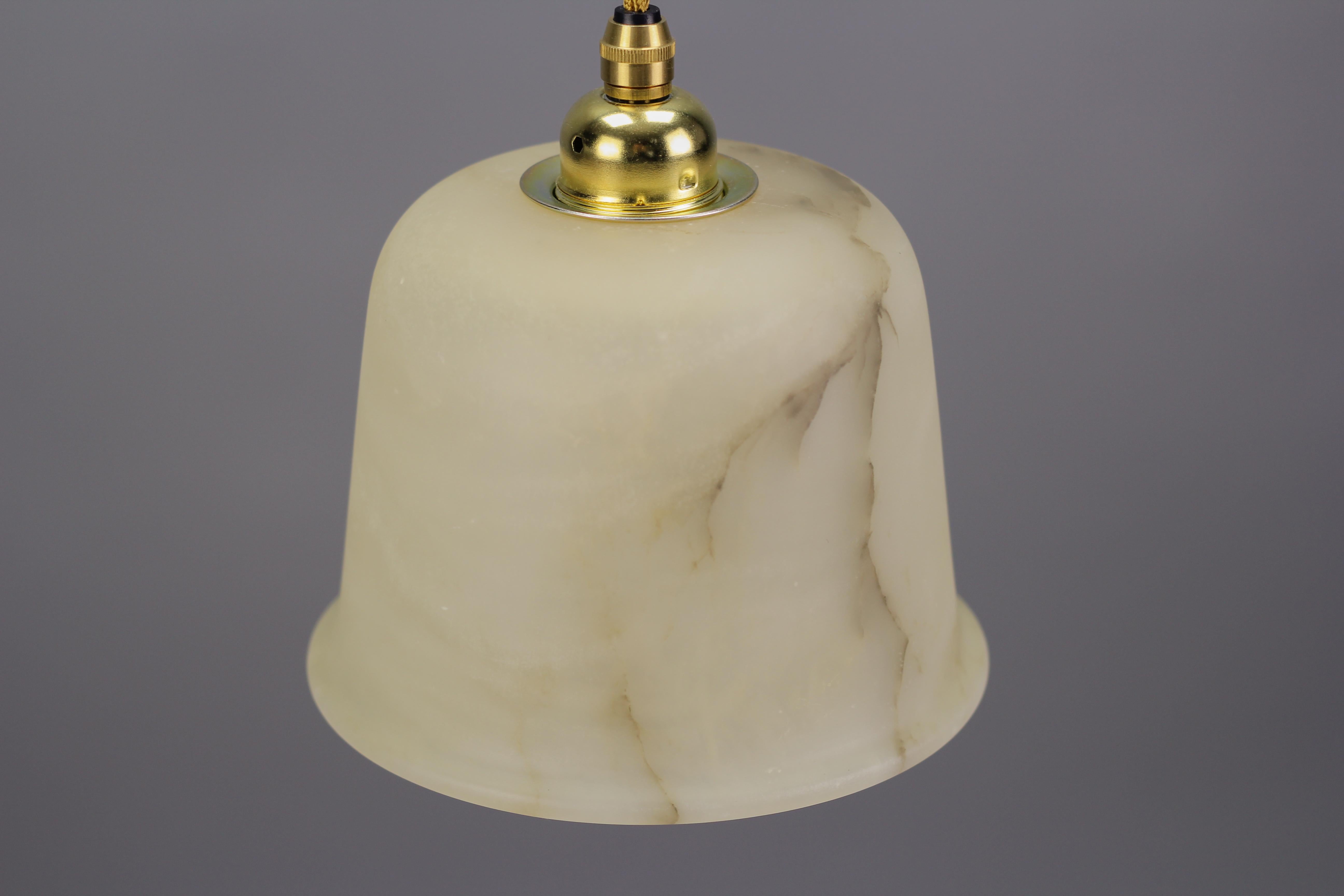 Pendant Light Fixture with White and Black Alabaster Lampshade 4