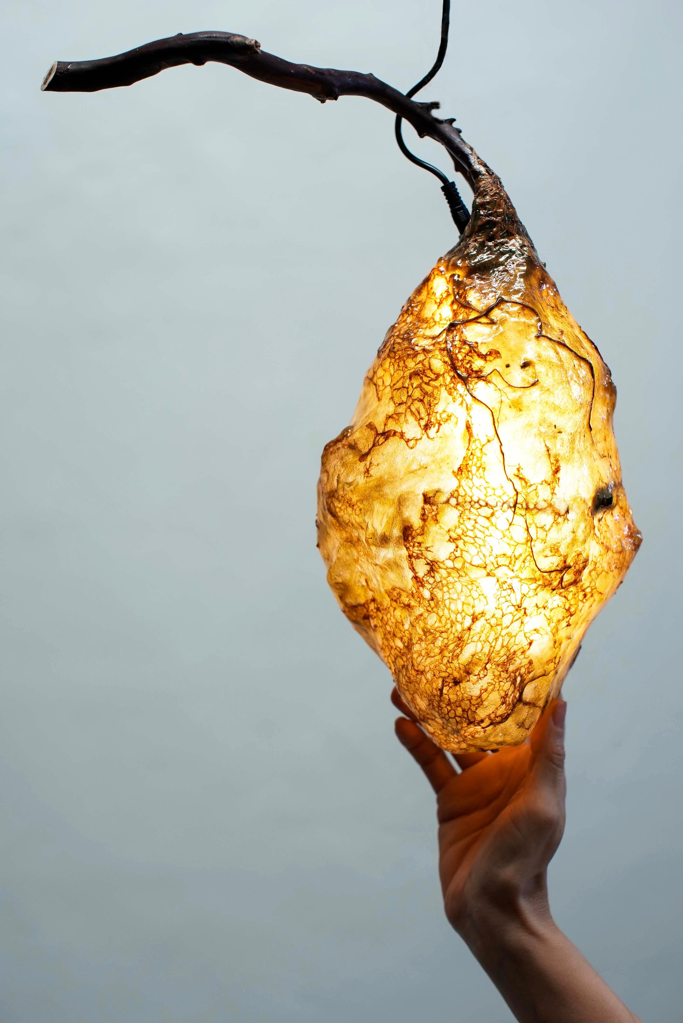 MATERIALI: RICETTA BIOPLASTICA DELL'ARTISTA, FIBRE DI CANAPA, FUNGO DI BAMBÙ, RAMO NATURALE, RADICI NATURALI, SENSORE DIGITALE
STRISCE LUMINOSE A LED
DIMENSIONI: 36 X 30 x 15 cm (14x 12 x 6 in)
ANNO: 2024

Sabrina Merayo Nuñez è un'artista