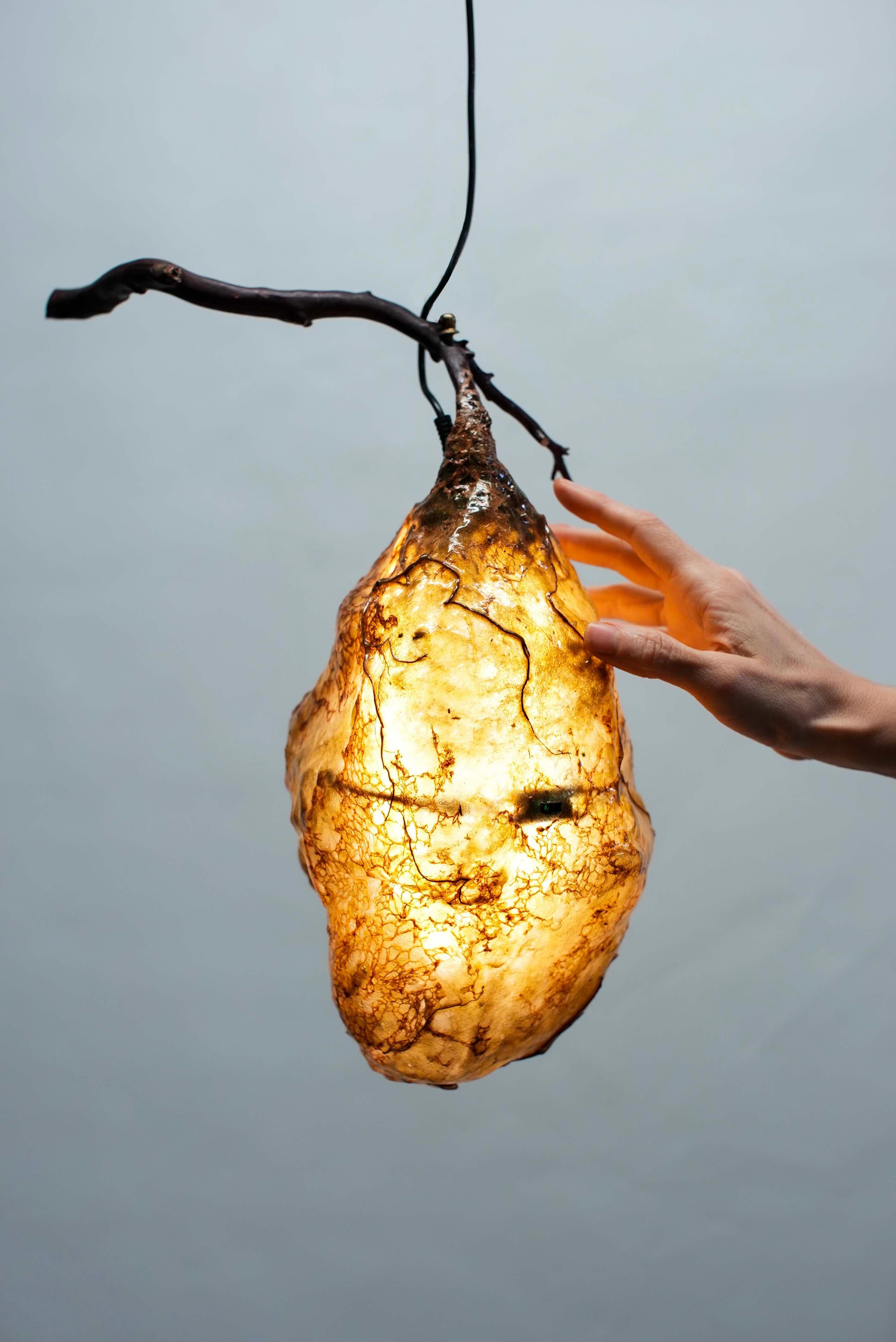 Moderno Lampada a parete a sospensione in vendita