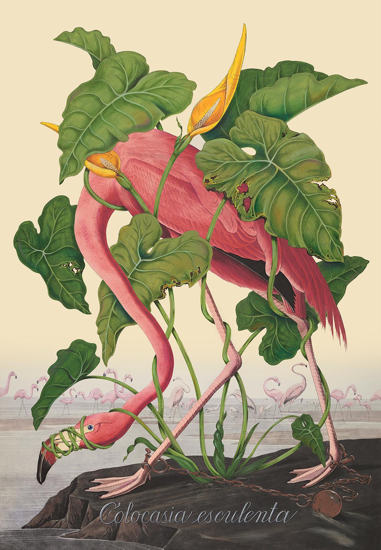 Penelope Gottlieb Animal Painting - Colocasia esculenta