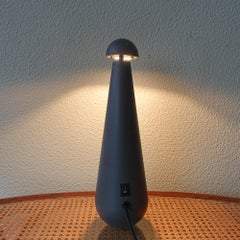 Penguin Table Lamp by Massive, 1990's