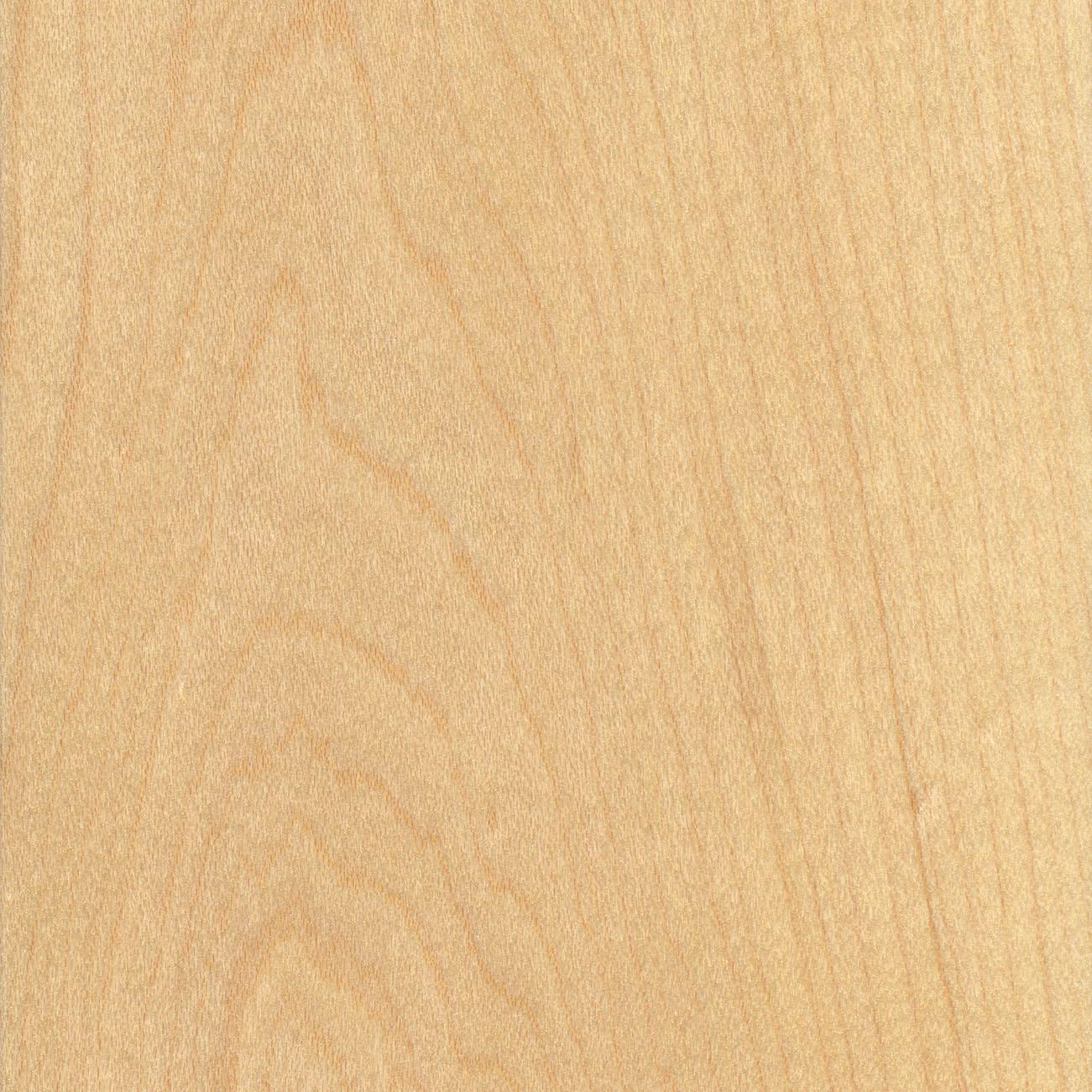 Fauteuil de salon Peninsula  Chaise moderne en bois et cuir avec détails en laiton en vente 7