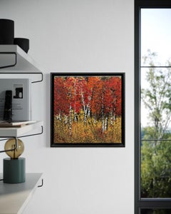"Aspen with Wild Wheat" - Paesaggio autunnale post-impressionista contemporaneo