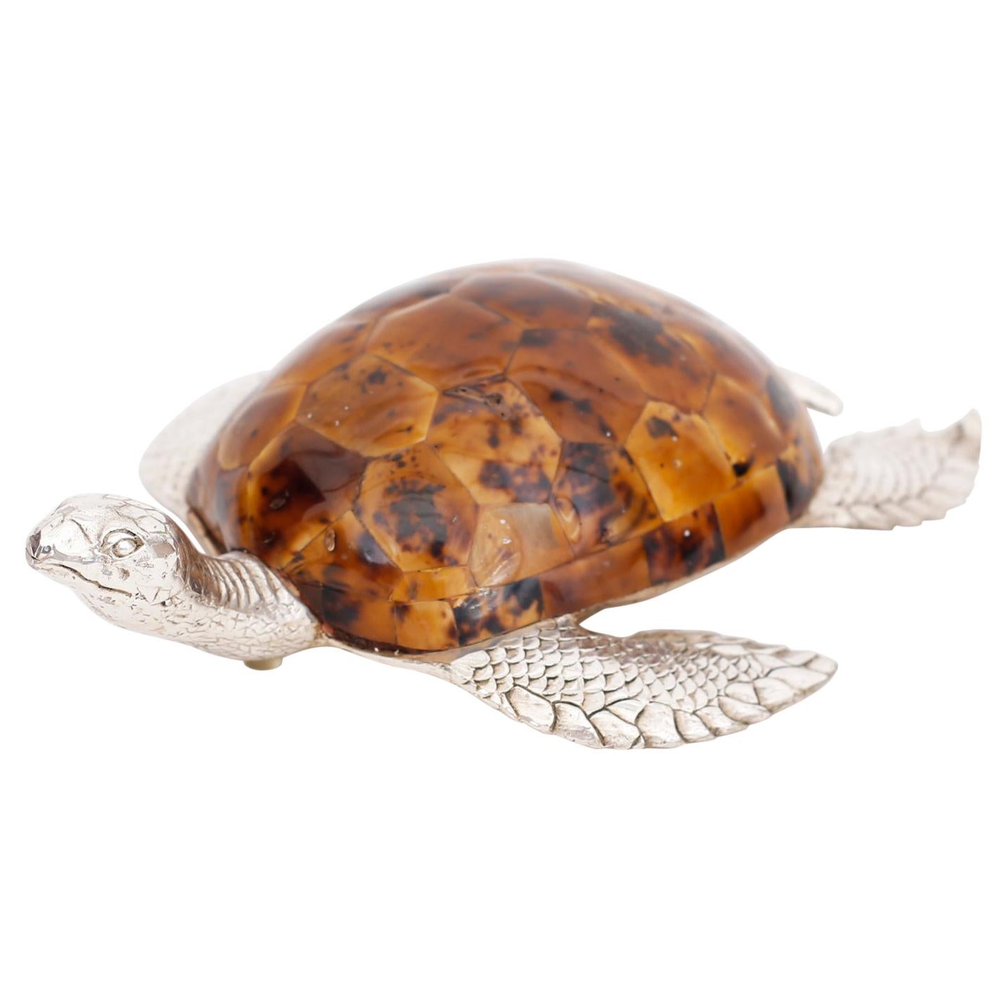 Penshell and Bronze Sea Turtle