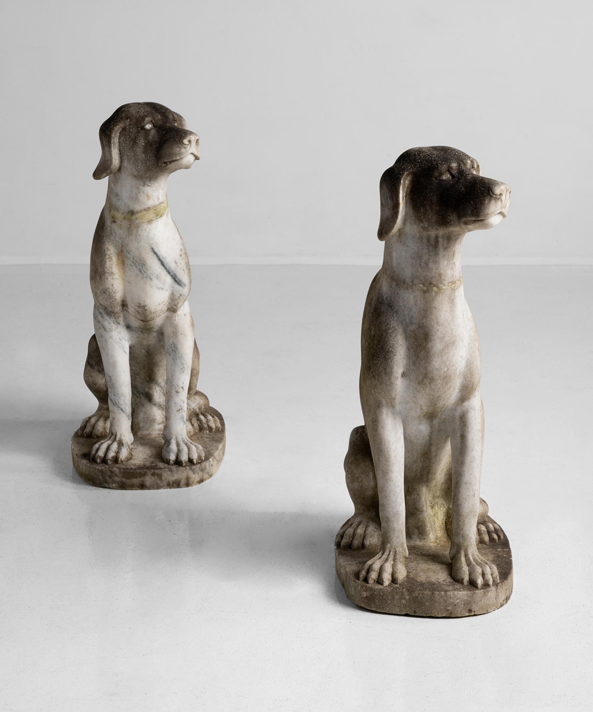 French Pensive Dog Statues in Marble