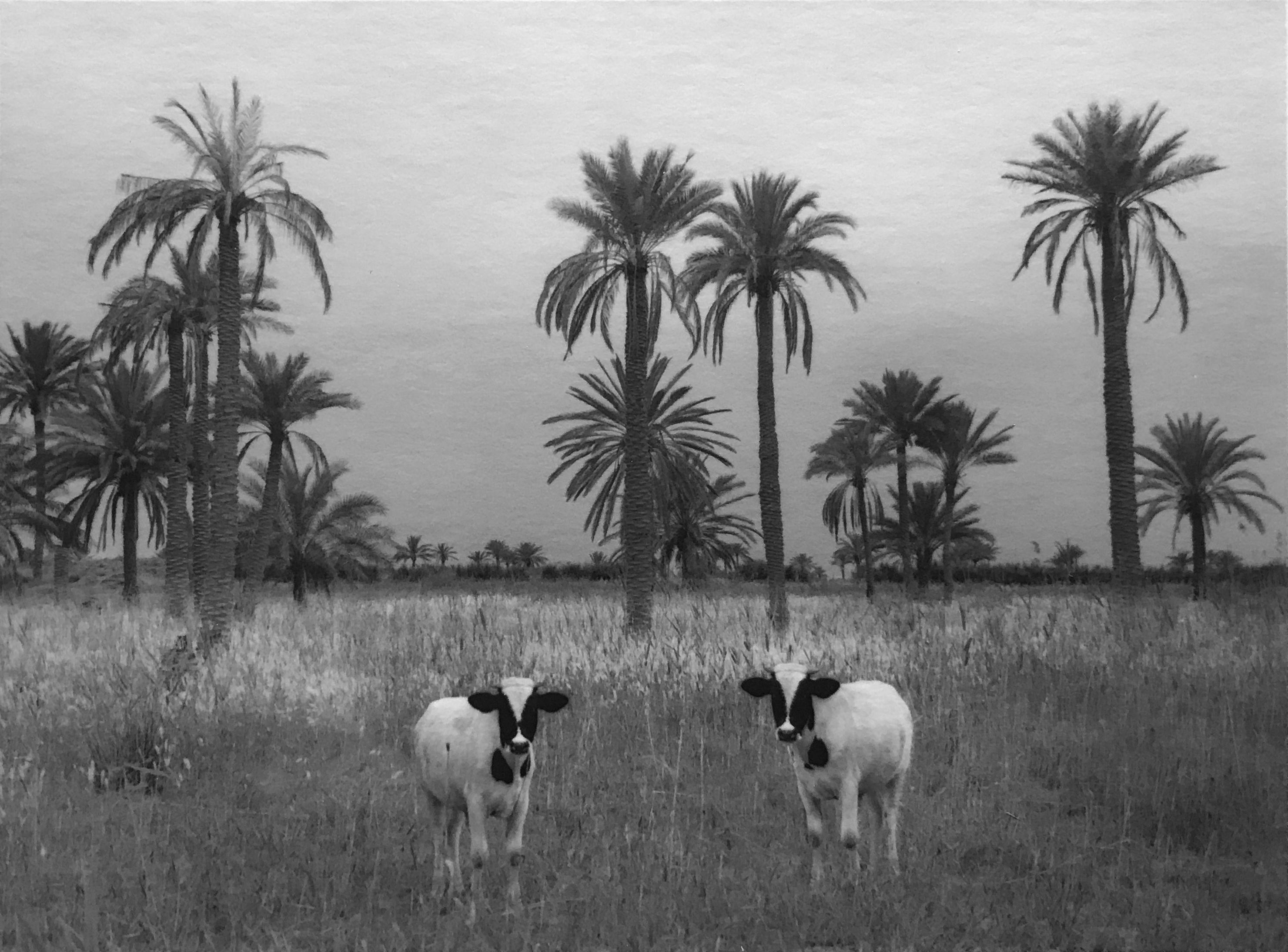 Pentti Sammallahti Black and White Photograph – Babil, Irak