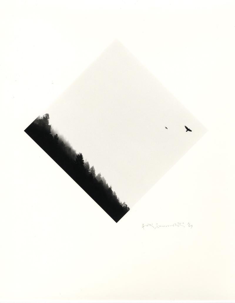Landscape Photograph di Pentti Sammallahti - Baviera, Germania