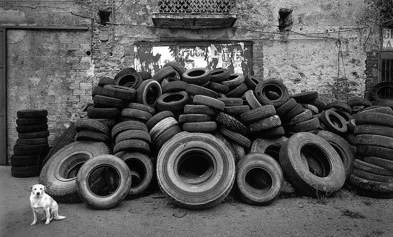 Black and White Photograph Pentti Sammallahti - Cilento, Italie (Dog and Pile of Tires)