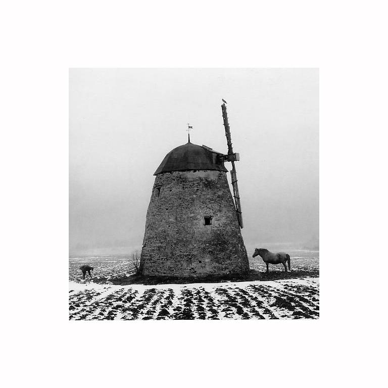 Pentti Sammallahti Black and White Photograph - Gotland, Sweden (Horse & Windmill)