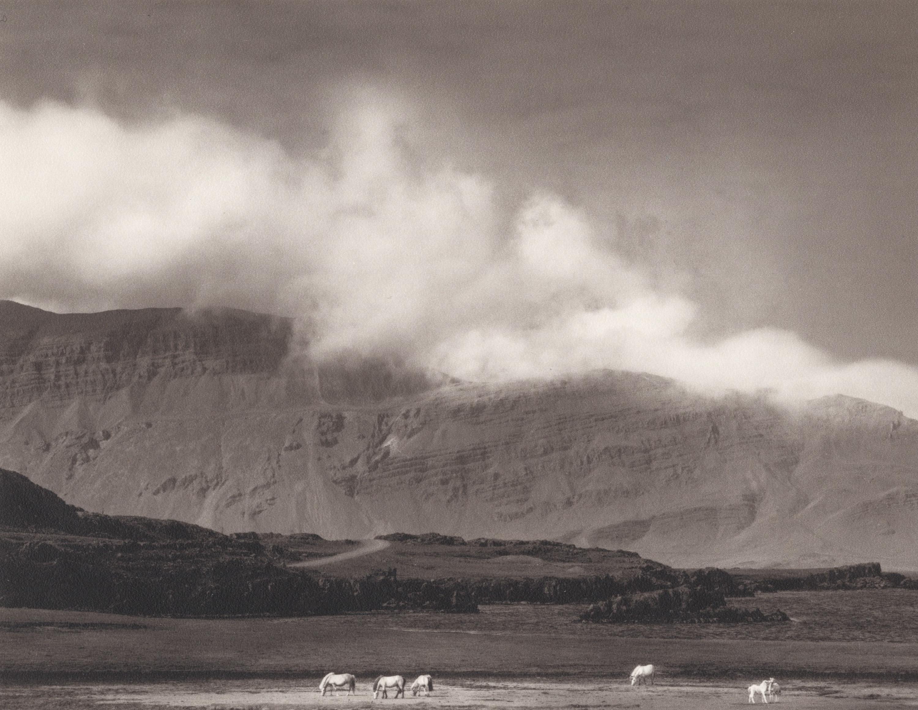 Pentti Sammallahti Black and White Photograph - Iceland (Landscape w/ mountains in background, and horses grazing on plains)