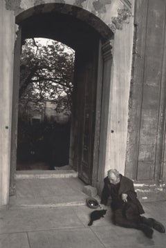 Istanbul, Türkei (Mann in der Nähe des Eingangsbereichs, eine Katze füttert)