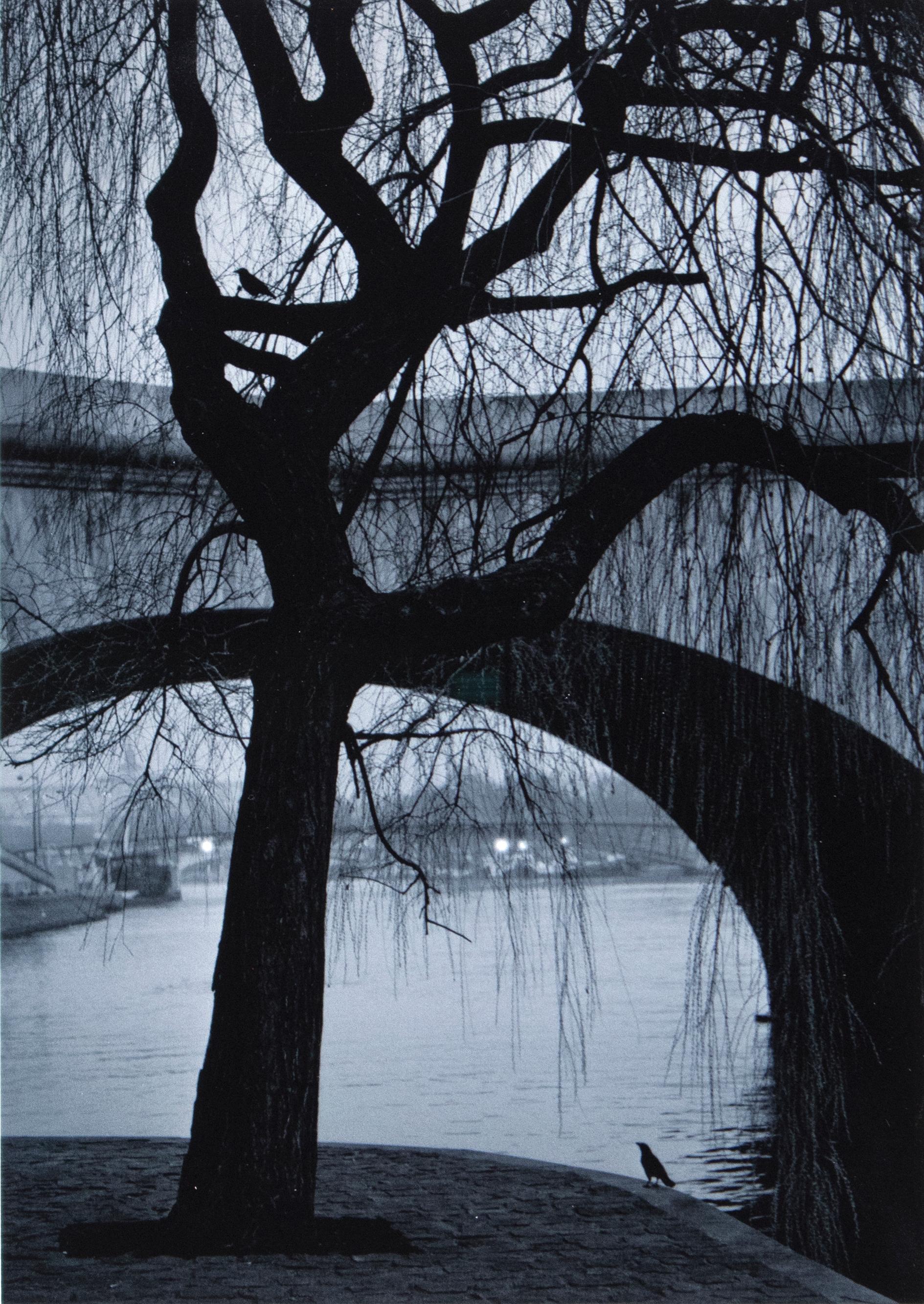 Pentti Sammallahti Black and White Photograph - Paris France