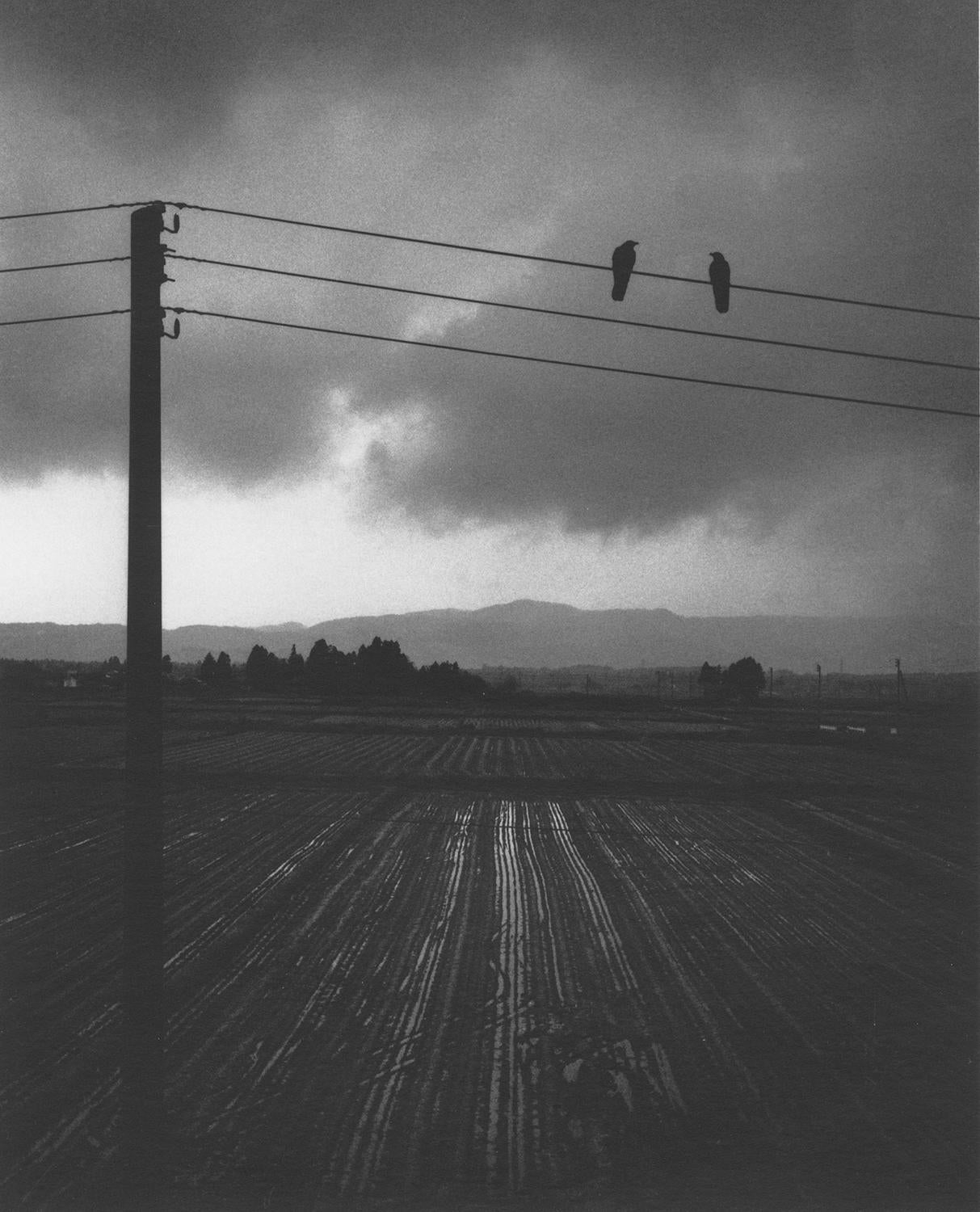 Kitakata City, Fukushima, Japan (Landscape w/Two Birds on a Wire)