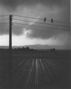 Kitakata City, Fukushima, Japan (Landscape w/Two Birds on a Wire)