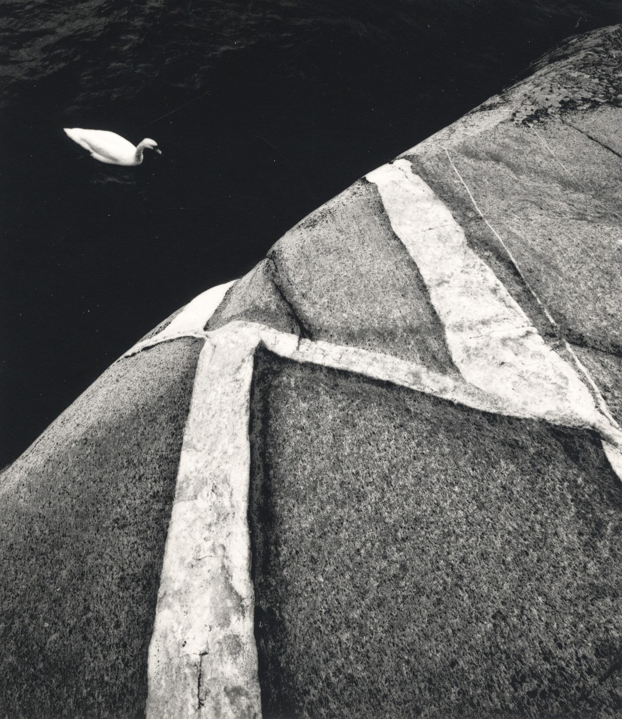Pentti Sammallahti Abstract Photograph - Kokar, Finland (Abstract Rock Formation and Swimming Swan)