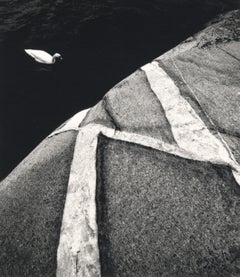Kokar, Finland (Abstract Rock Formation and Swimming Swan)