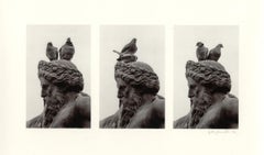 Krakow, Poland (Triptych of Monument bust with Pigeons)