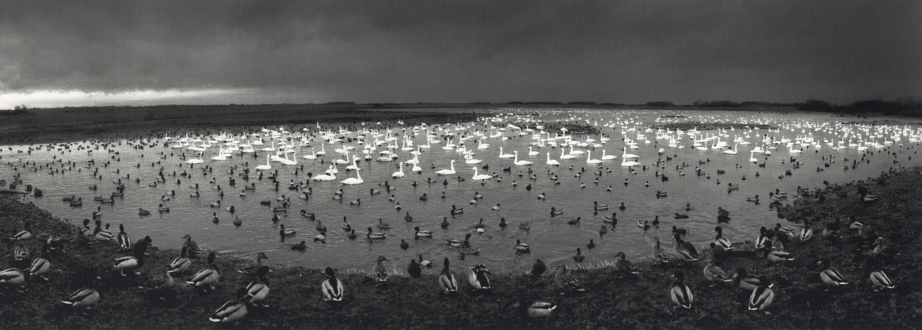 Pentti Sammallahti Black and White Photograph – Martinmere, England