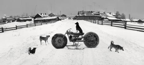Pentti Sammallahti Black and White Photograph - Solovki, White Sea, Russia (Dog on Motorbike)