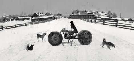 Solovki, White Sea, Russia (Dog on Motorbike)