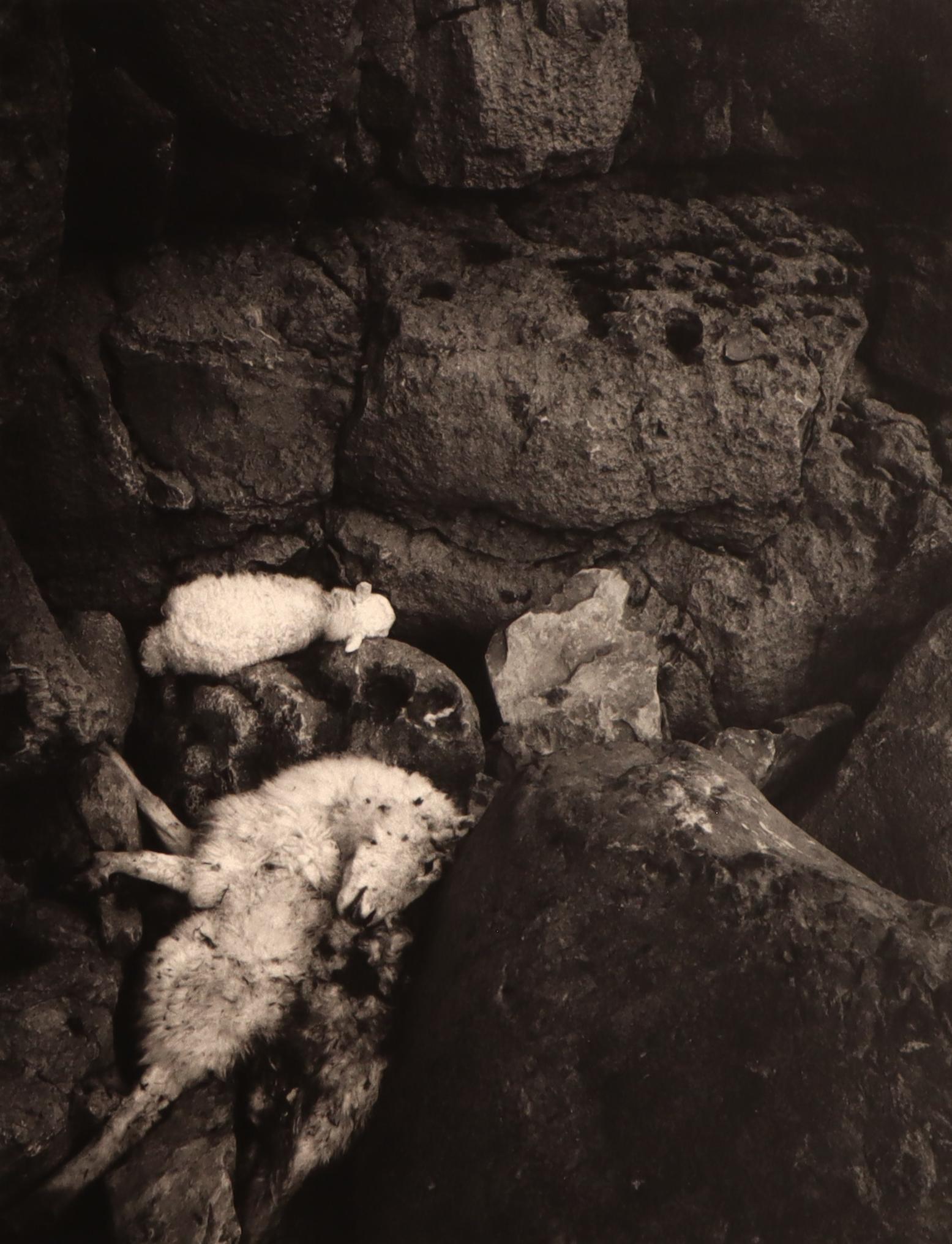 Pentti Sammallahti Black and White Photograph - St. Govan's Head, Wales, 1995