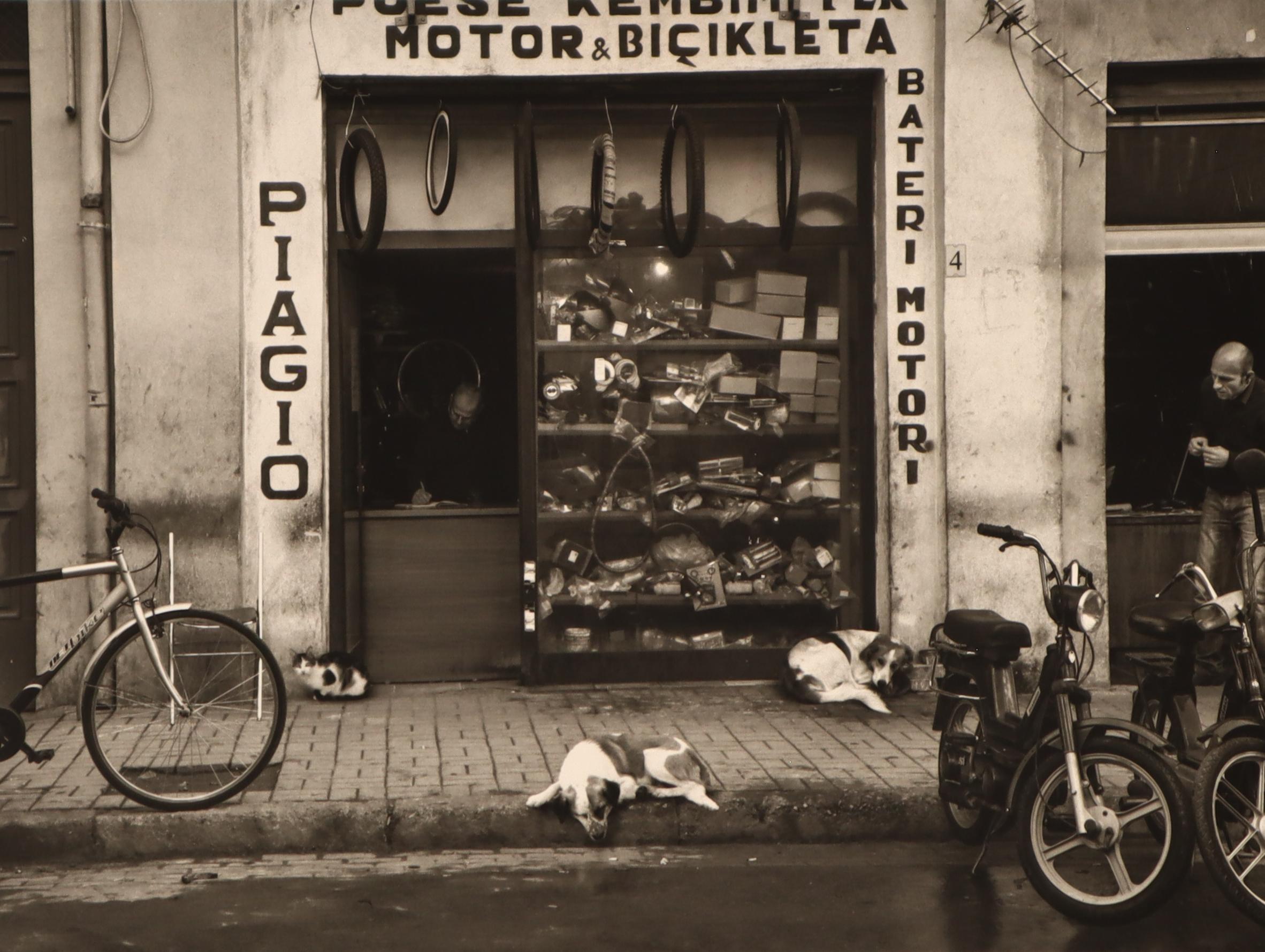Tirana, Albania (Bike Shop with Dogs) - Photograph by Pentti Sammallahti