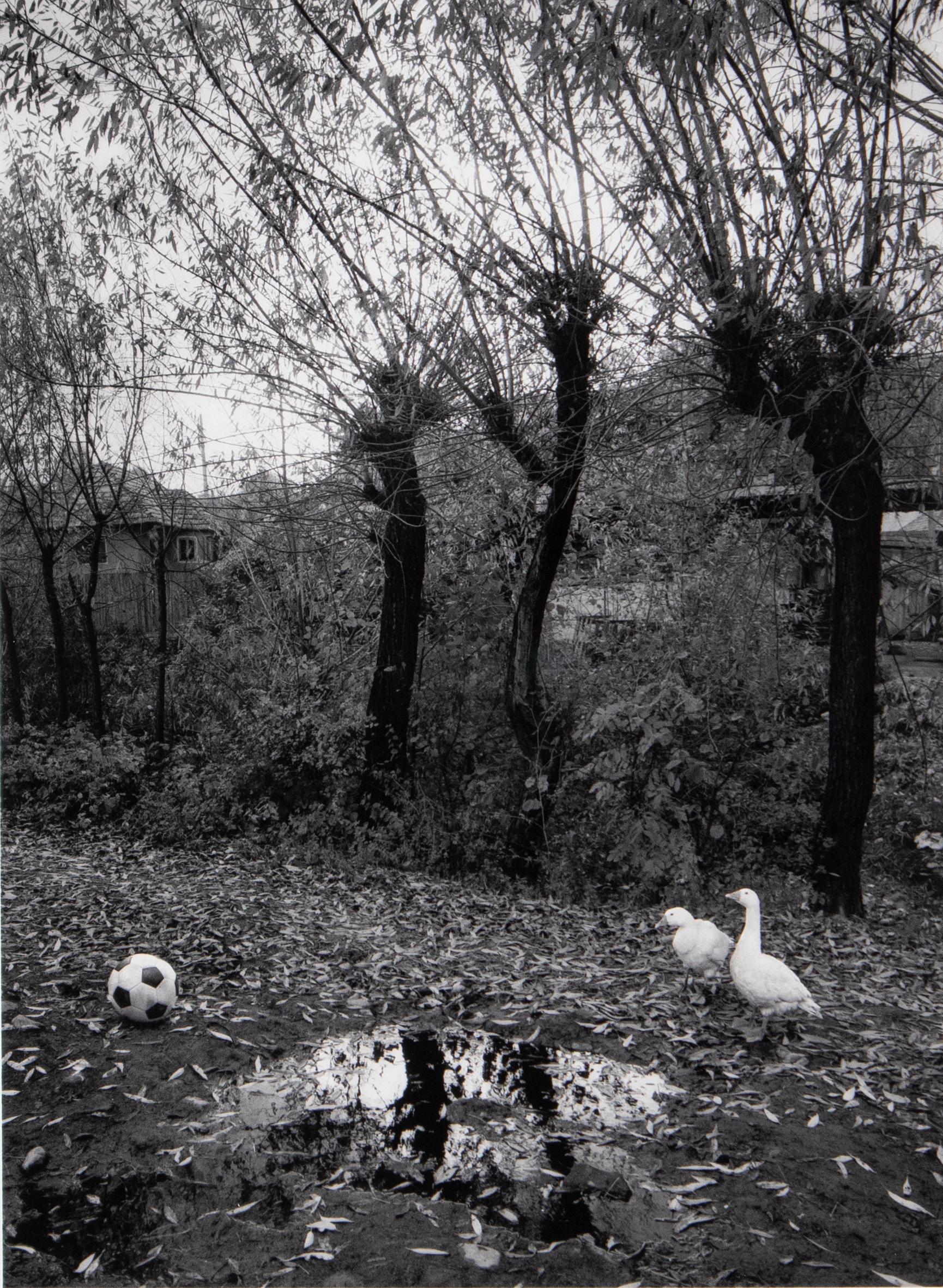 Pentti Sammallahti Black and White Photograph – Transsylvanien, Rumänien