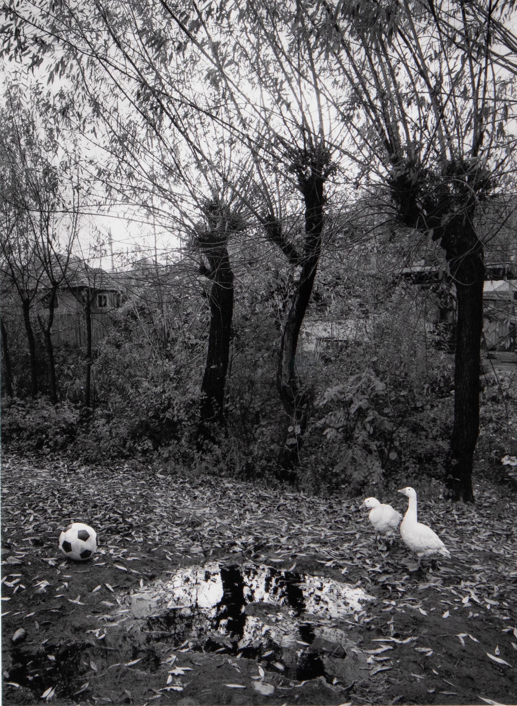 Pentti Sammallahti Black and White Photograph - Transylvania, Romania