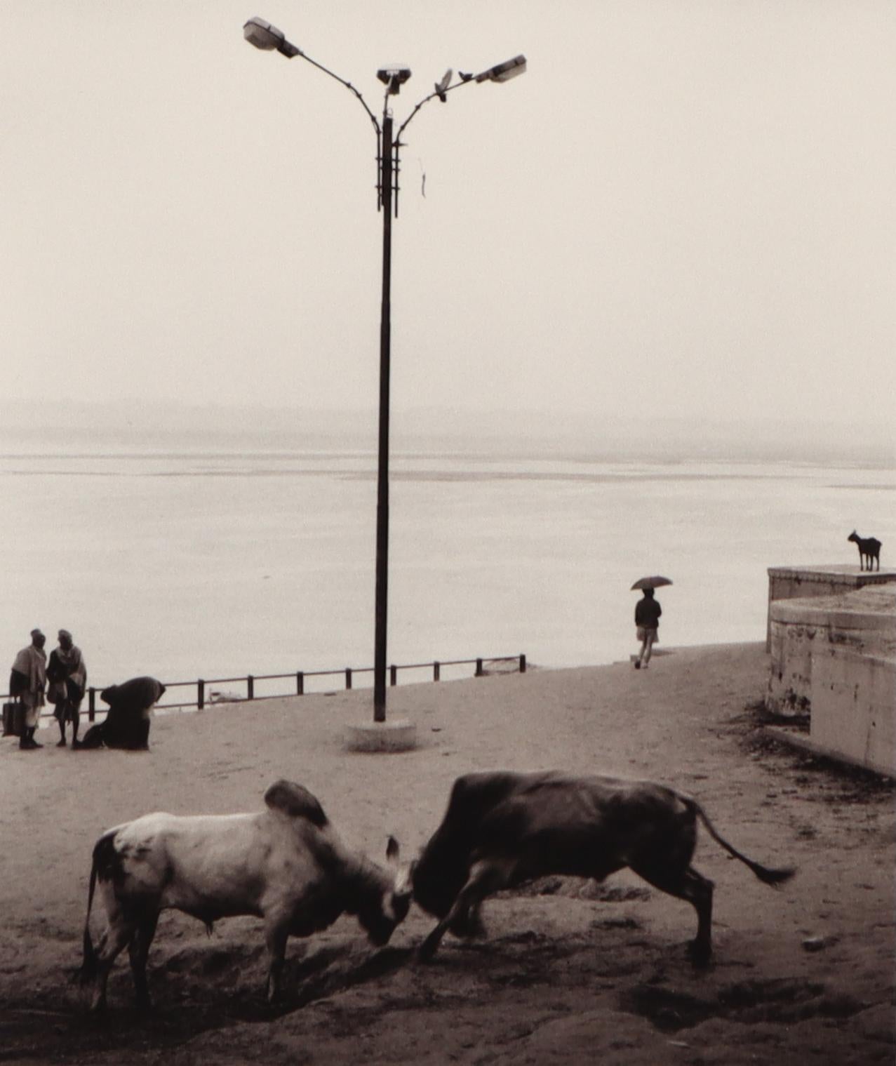 Pentti Sammallahti Black and White Photograph - Varanasi, India