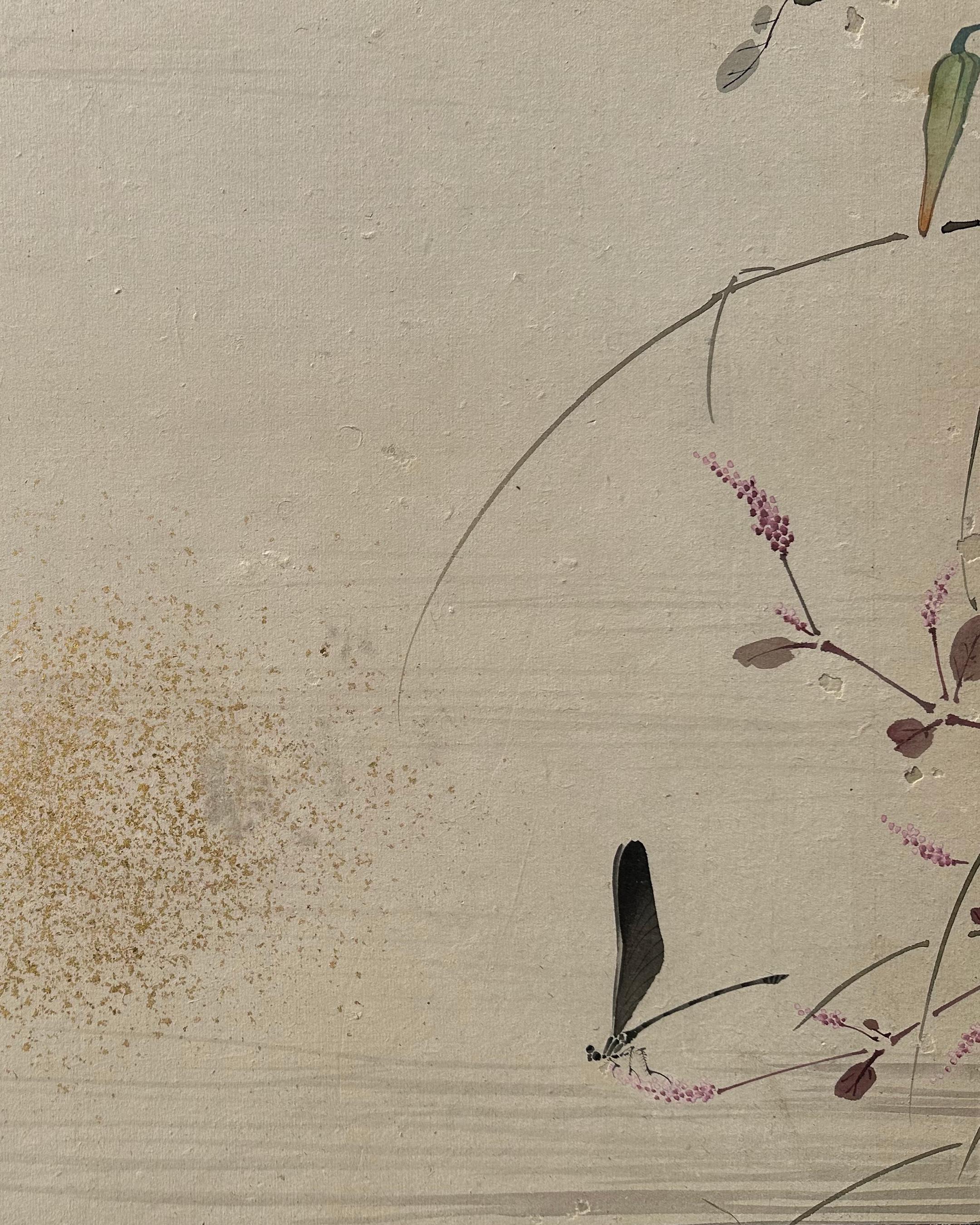 Peonías a la luz del verano en Bueno estado para la venta en Fukuoka, JP