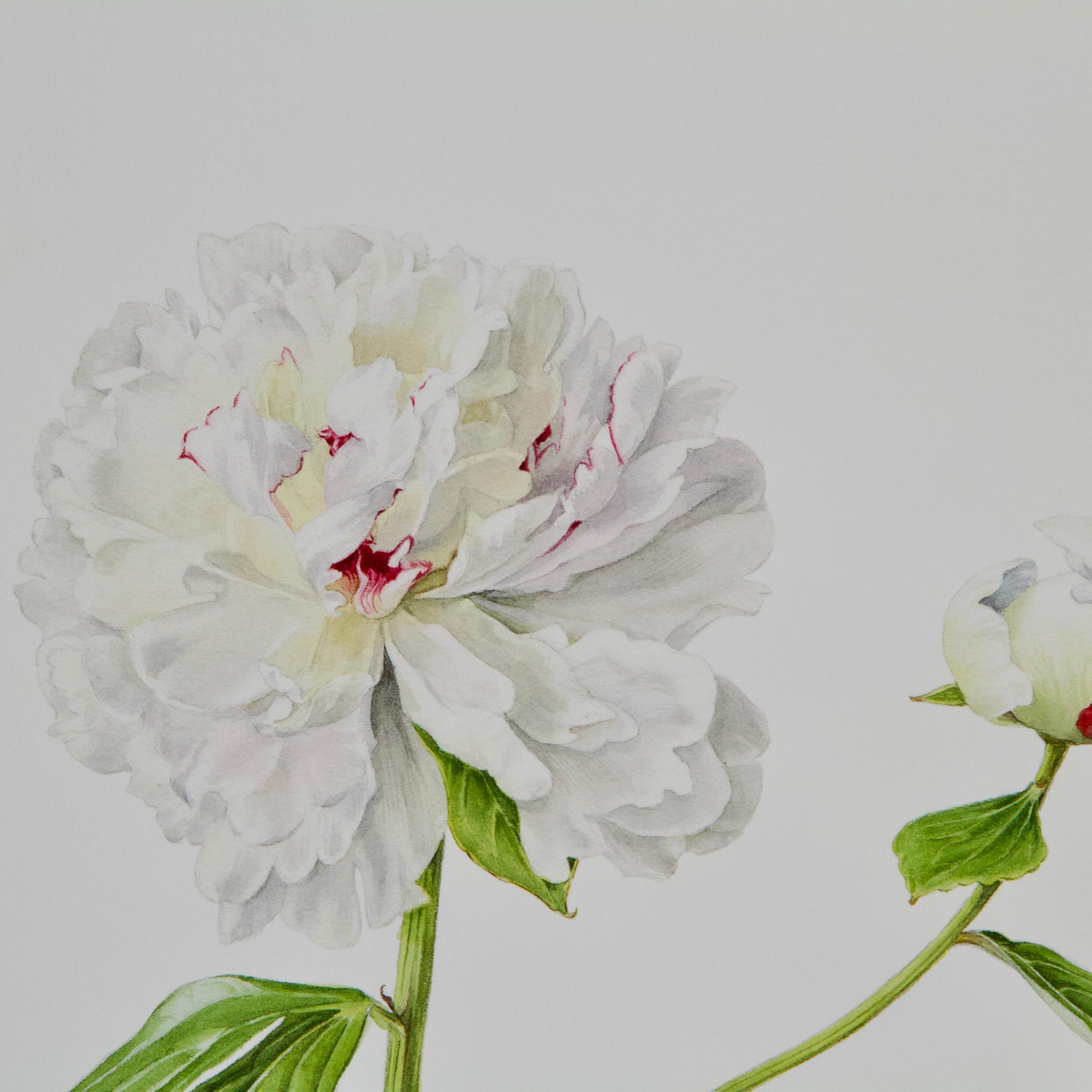 Other Peony Print by Caroline Dumuys-Babian for Conservatory of Peony France For Sale