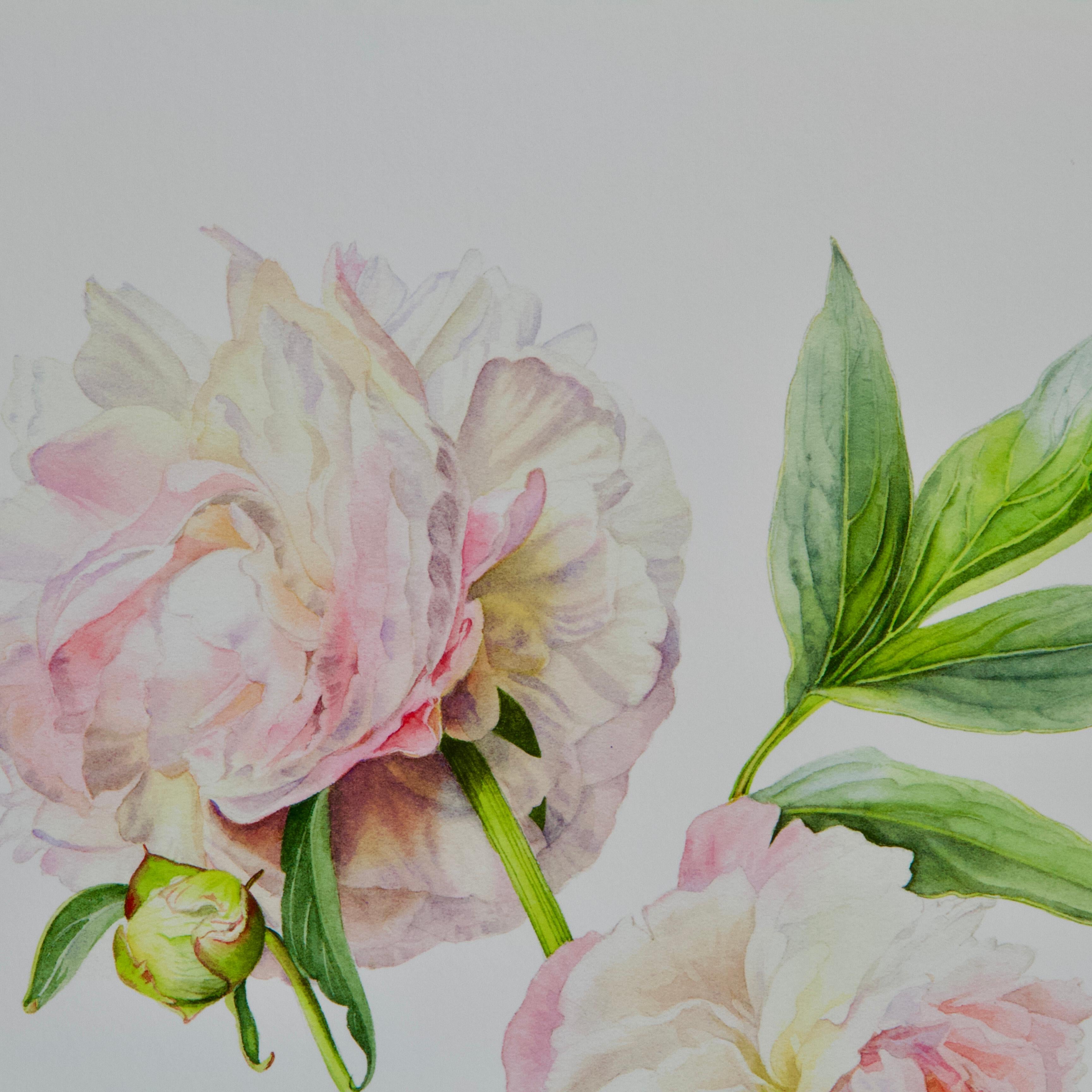 French Peony Print by Caroline Dumuys-Babian for Conservatory of Peony France For Sale