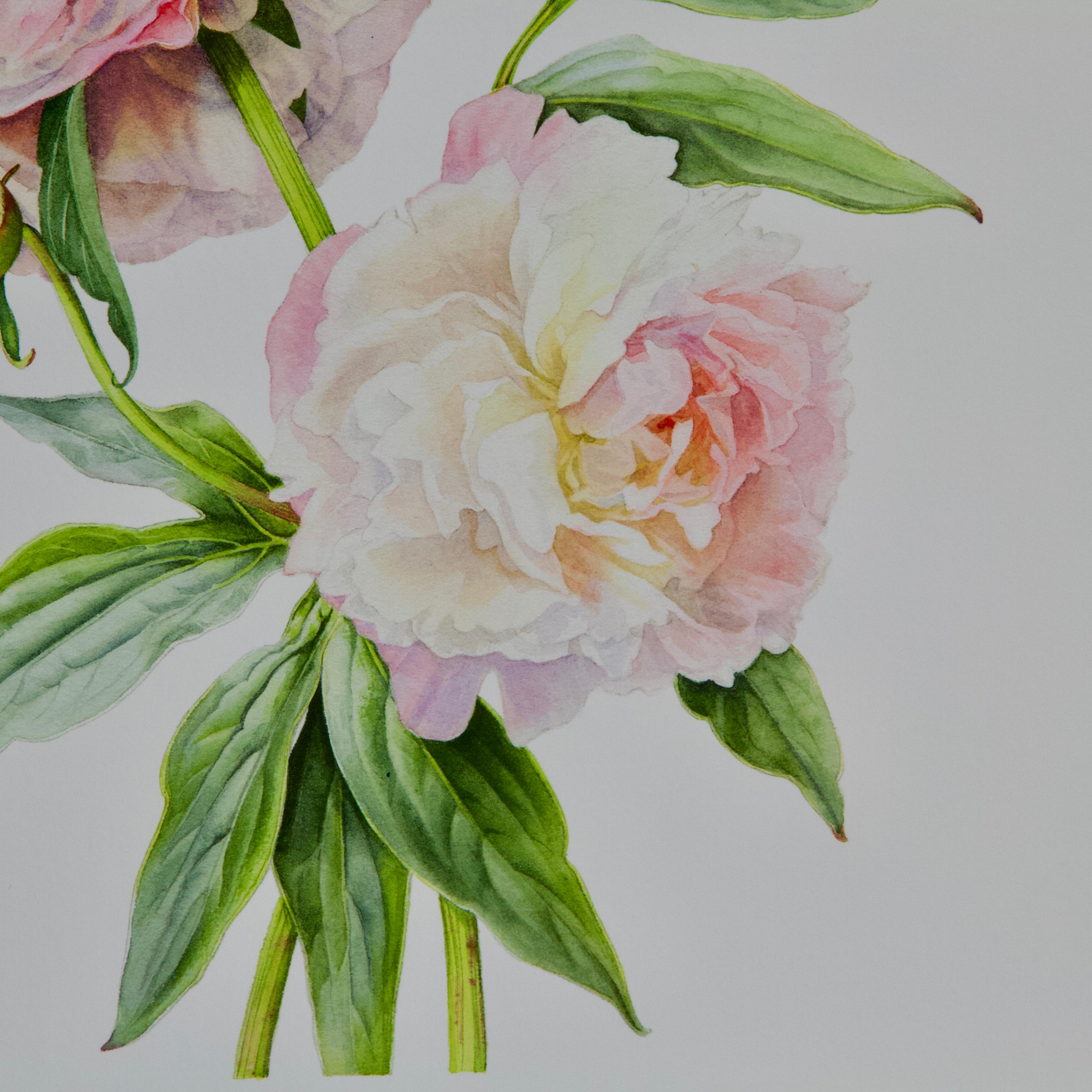 Peony Print by Caroline Dumuys-Babian for Conservatory of Peony France In New Condition For Sale In Paris, FR