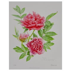 Peony Print by Claire Felloni for Conservatory of Peony France